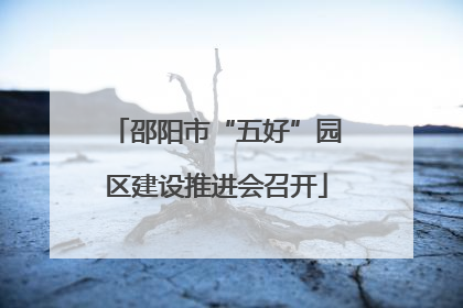 邵阳市“五好”园区建设推进会召开