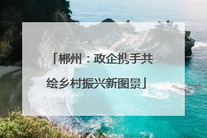 郴州：政企携手共绘乡村振兴新图景