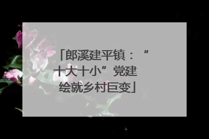 郎溪建平镇:“十大十小”党建 绘就乡村巨变
