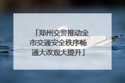 郑州交警推动全市交通安全秩序畅通大改观大提升