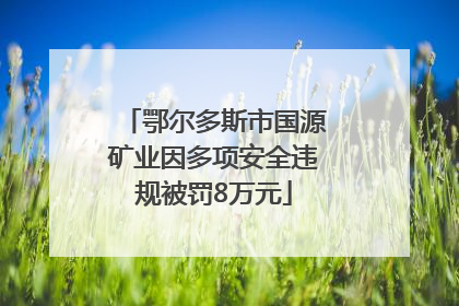 鄂尔多斯市国源矿业因多项安全违规被罚8万元