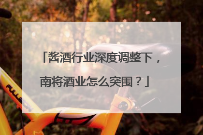 酱酒行业深度调整下，南将酒业怎么突围？
