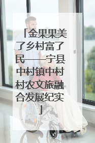 金果果美了乡村富了民——宁县中村镇中村村农文旅融合发展纪实