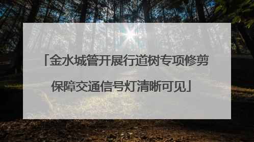 金水城管开展行道树专项修剪 保障交通信号灯清晰可见
