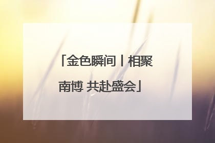 金色瞬间丨相聚南博 共赴盛会