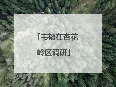 韦韬在杏花岭区调研