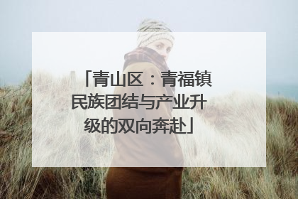 青山区：青福镇民族团结与产业升级的双向奔赴
