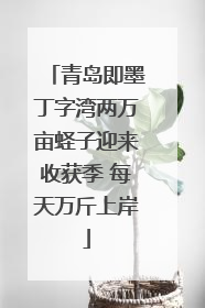 青岛即墨丁字湾两万亩蛏子迎来收获季 每天万斤上岸
