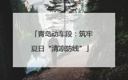 青岛动车段：筑牢夏日“清凉防线”