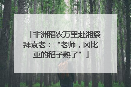 非洲稻农万里赴湘祭拜袁老：“老师，冈比亚的稻子熟了”