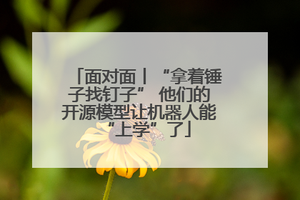 面对面丨“拿着锤子找钉子” 他们的开源模型让机器人能“上学”了