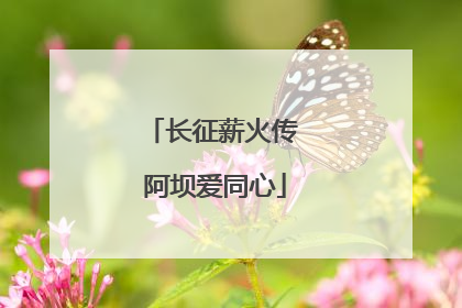 长征薪火传 阿坝爱同心
