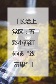 长治上党区：五彩小西红柿成“致富果”