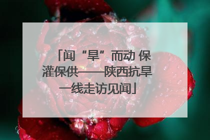 闻“旱”而动 保灌保供——陕西抗旱一线走访见闻