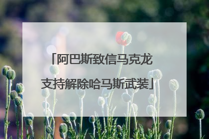 阿巴斯致信马克龙 支持解除哈马斯武装