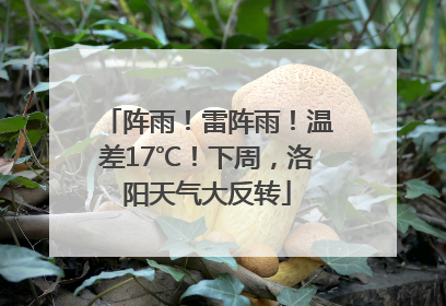 阵雨！雷阵雨！温差17℃！下周，洛阳天气大反转