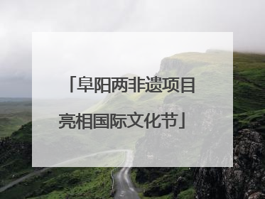 阜阳两非遗项目亮相国际文化节