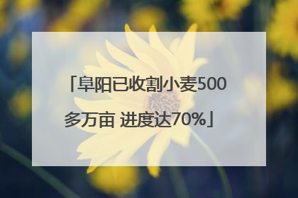 阜阳已收割小麦500多万亩 进度达70%