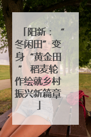 阳新：“冬闲田”变身“黄金田” 稻麦轮作绘就乡村振兴新篇章
