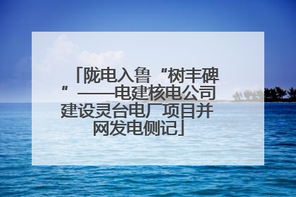 陇电入鲁“树丰碑”——电建核电公司建设灵台电厂项目并网发电侧记