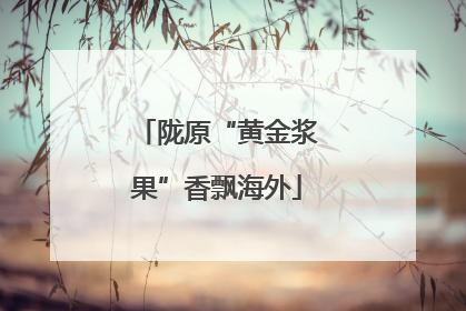 陇原“黄金浆果”香飘海外