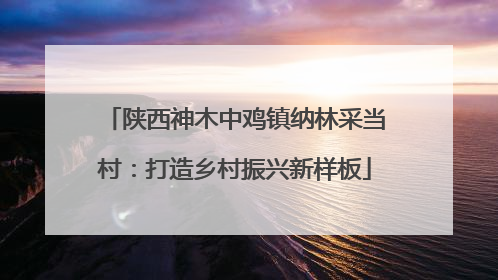 陕西神木中鸡镇纳林采当村：打造乡村振兴新样板