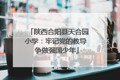 陕西合阳县天合园小学：牢记党的教导 争做强国少年
