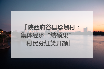 陕西府谷县埝墕村：集体经济“结硕果” 村民分红笑开颜