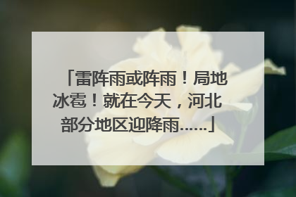 雷阵雨或阵雨！局地冰雹！就在今天，河北部分地区迎降雨……