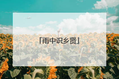 雨中识乡贤