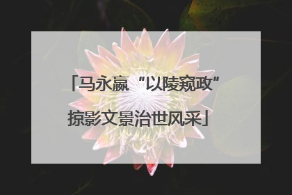 马永嬴“以陵窥政” 掠影文景治世风采
