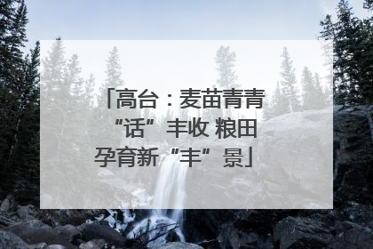 高台：麦苗青青“话”丰收 粮田孕育新“丰”景