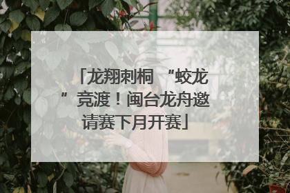 龙翔刺桐 “蛟龙”竞渡！闽台龙舟邀请赛下月开赛
