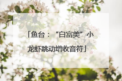 鱼台：“白富美”小龙虾跳动增收音符
