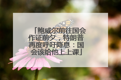 鲍威尔前往国会作证前夕，特朗普再度呼吁降息：国会该给他上上课
