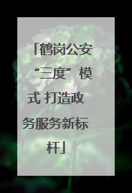 鹤岗公安“三度”模式 打造政务服务新标杆