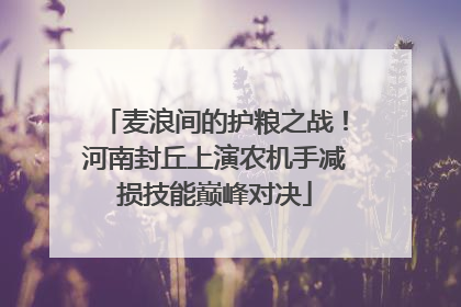 麦浪间的护粮之战！河南封丘上演农机手减损技能巅峰对决