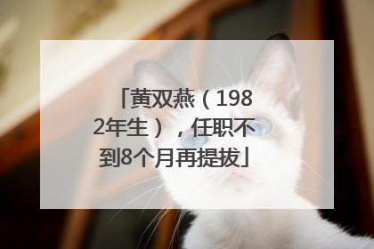 黄双燕（1982年生），任职不到8个月再提拔