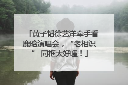 黄子韬徐艺洋牵手看鹿晗演唱会，“老相识” 同框太好嗑！