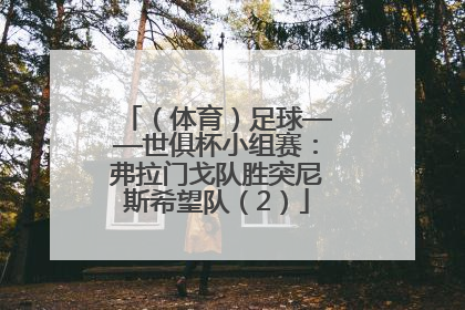 （体育）足球——世俱杯小组赛：弗拉门戈队胜突尼斯希望队（2）