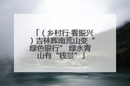 （乡村行·看振兴）吉林辉南荒山变“绿色银行” 绿水青山有“钱景”