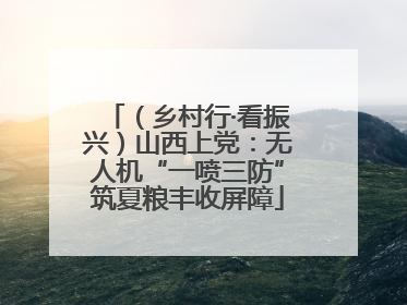 （乡村行·看振兴）山西上党：无人机“一喷三防”筑夏粮丰收屏障