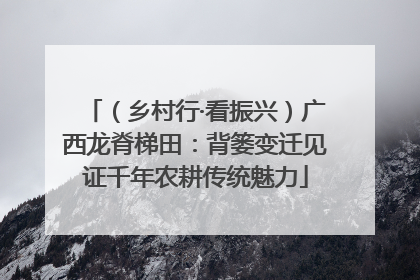 （乡村行·看振兴）广西龙脊梯田：背篓变迁见证千年农耕传统魅力