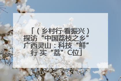（乡村行·看振兴）探访“中国荔枝之乡”广西灵山：科技“鲜”行 实“荔”C位