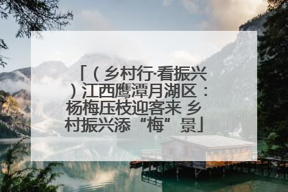 （乡村行·看振兴）江西鹰潭月湖区：杨梅压枝迎客来 乡村振兴添“梅”景