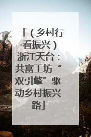 （乡村行·看振兴）浙江天台：共富工坊“双引擎”驱动乡村振兴路