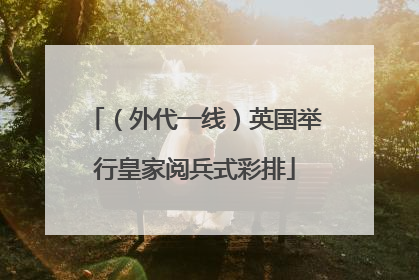 （外代一线）英国举行皇家阅兵式彩排