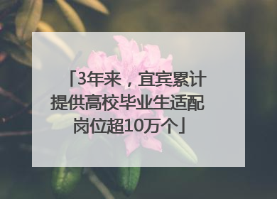 3年来，宜宾累计提供高校毕业生适配岗位超10万个