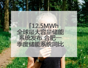 12.5MWh全球最大容量储能系统发布 合肥一季度储能系统同比增长425%