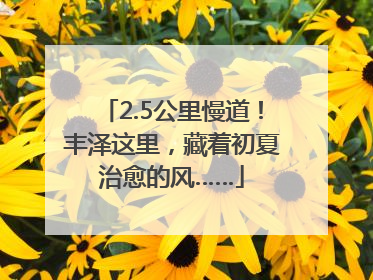 2.5公里慢道！丰泽这里，藏着初夏治愈的风……